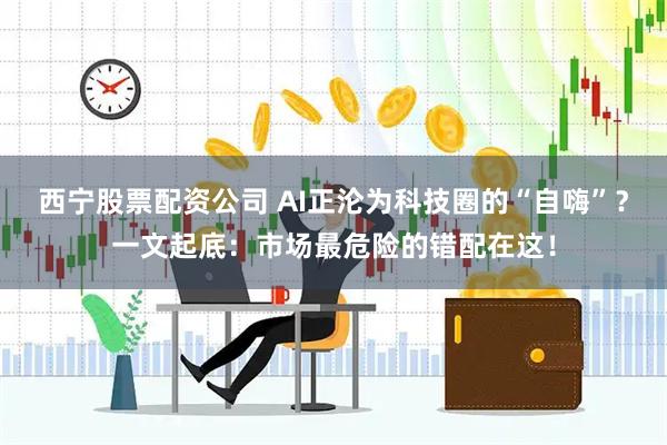 西宁股票配资公司 AI正沦为科技圈的“自嗨”？一文起底：市场最危险的错配在这！